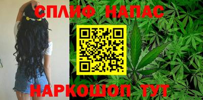 трава Будённовск