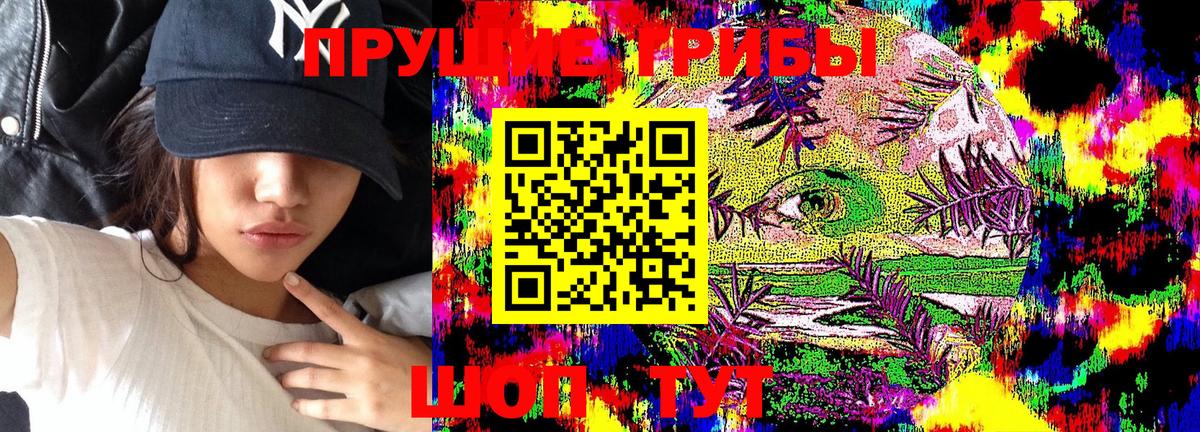 Галлюциногенные грибы Psilocybine cubensis Менделеевск